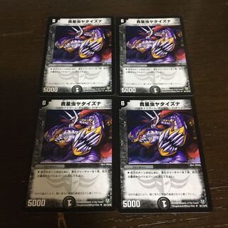 precious star anise (Illicium verum)