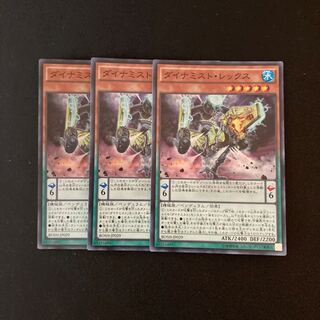 専用（2点）h174 ダイナミスト・レックス トレトレ