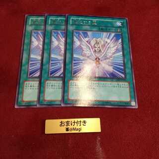 進化する翼 レア