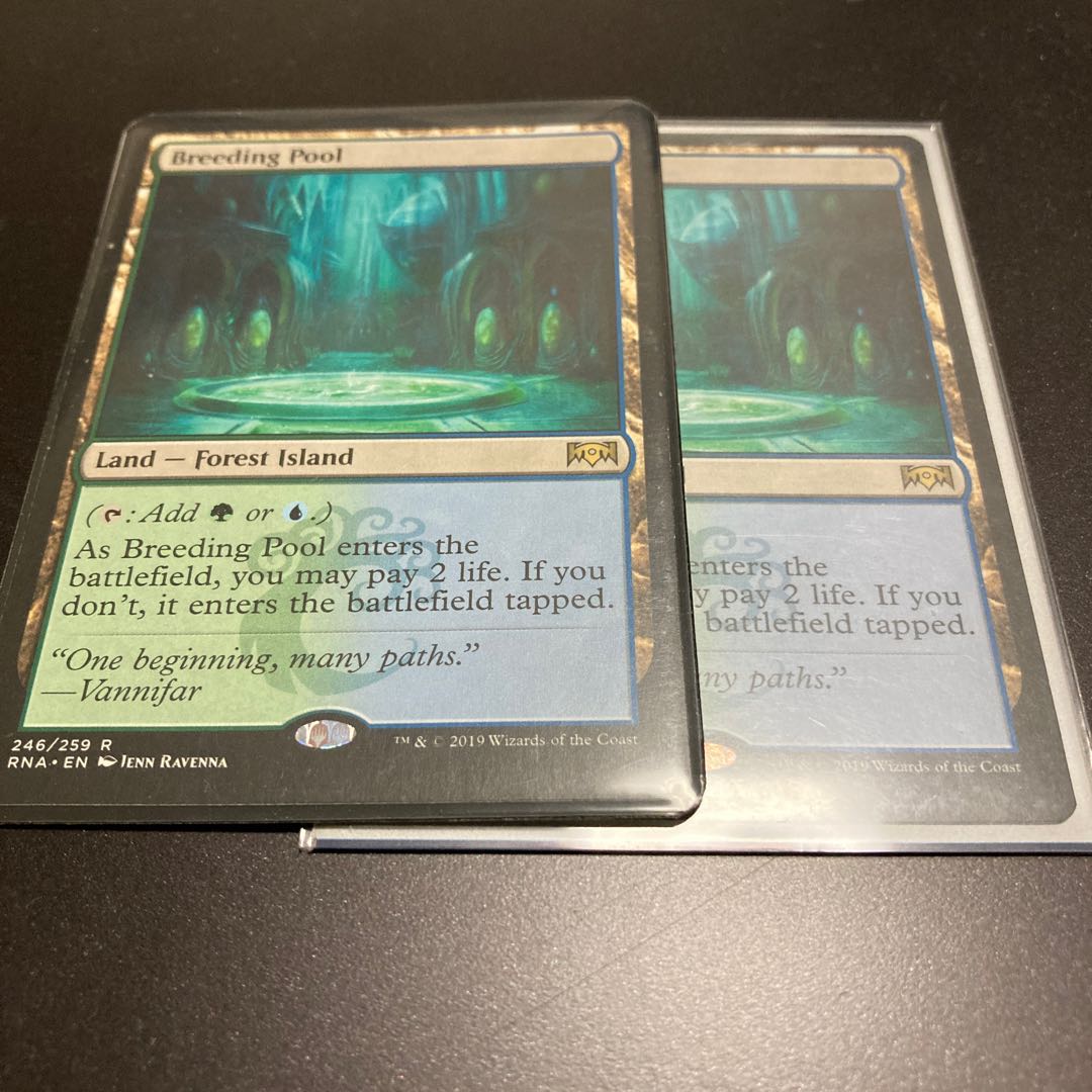 繁殖池　2枚セット