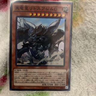 真竜皇リトスアジムD