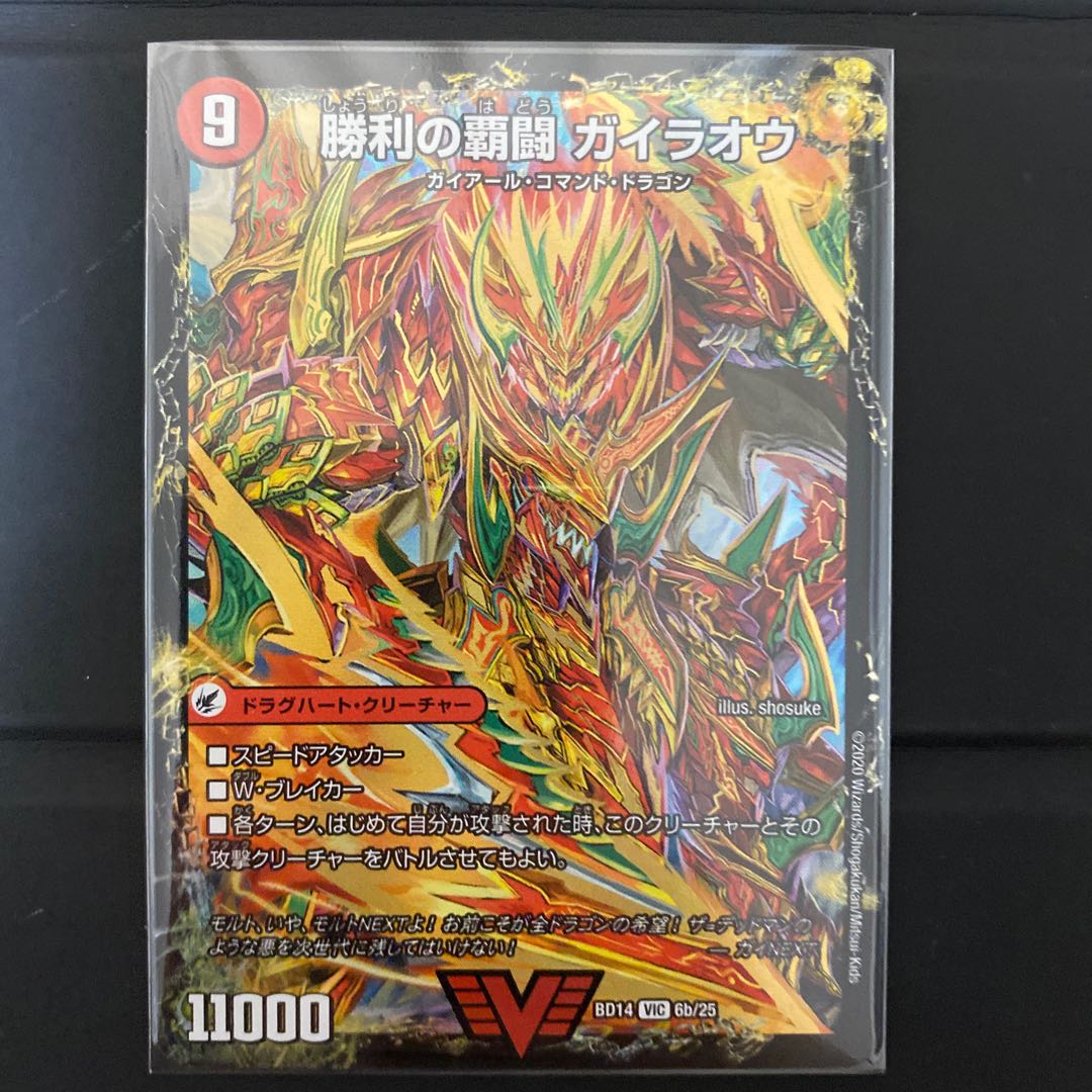 Supreme Fighting Shogun Gaiou Burn|Victorious Supreme Fighting Gaiou