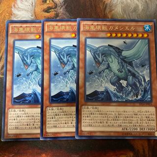 クッキー様専用 海亀壊獣ガメシエルとコズミックサイクロン2枚