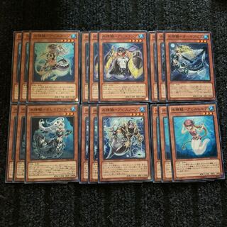 Water Seiryo scale set