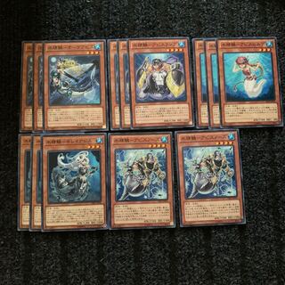 Water Seiryo scale set