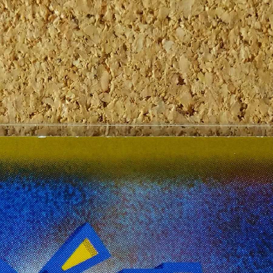 トキワの森2枚 091/095 165/173 【1059】