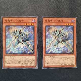 竜魔導の守護者 N