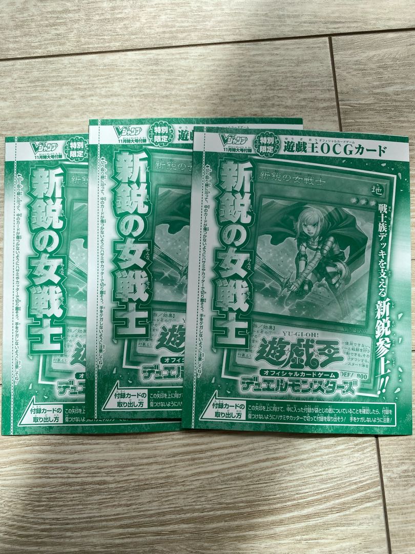 新鋭の女戦士　3枚セット