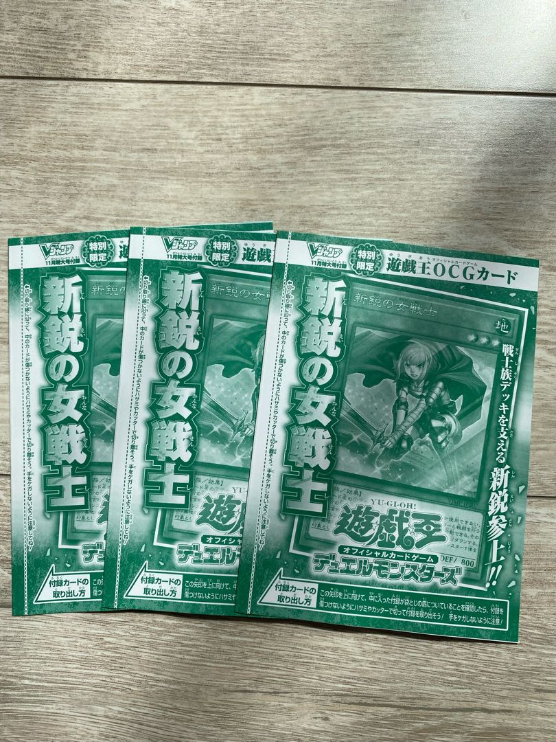 新鋭の女戦士 3枚セット