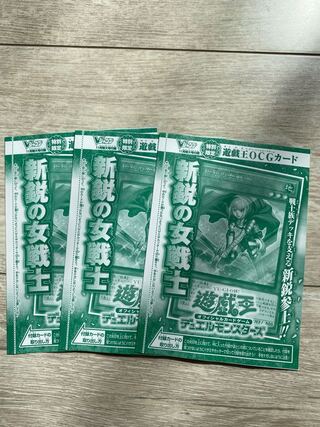 新鋭の女戦士　3枚セット