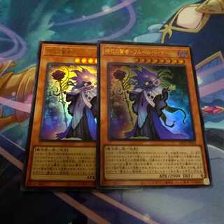 時花の賢者-フルール・ド・サージュ ウルトラレア