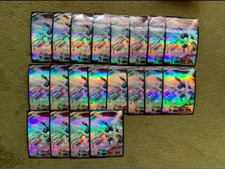 シューティング・クェーサー・ドラゴン　スリーブ20枚