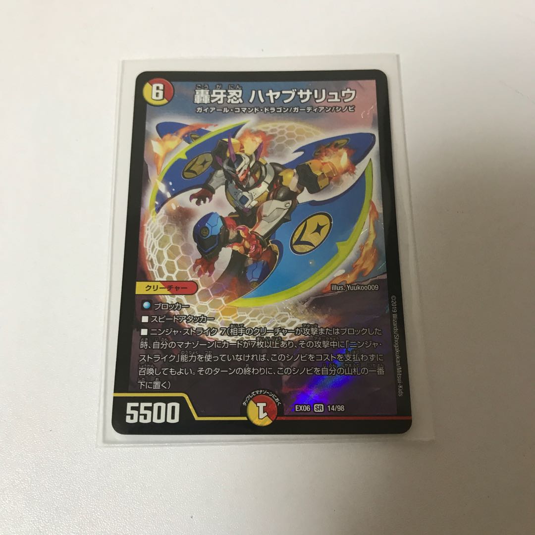 ハヤブサリュウ