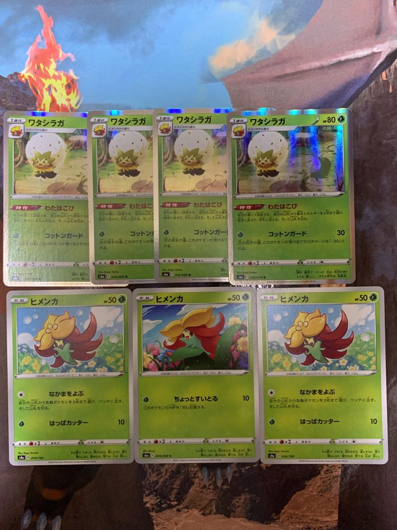 ワタシラガ 進化ラインセット