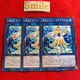 海晶乙女コーラルアネモネ#2838