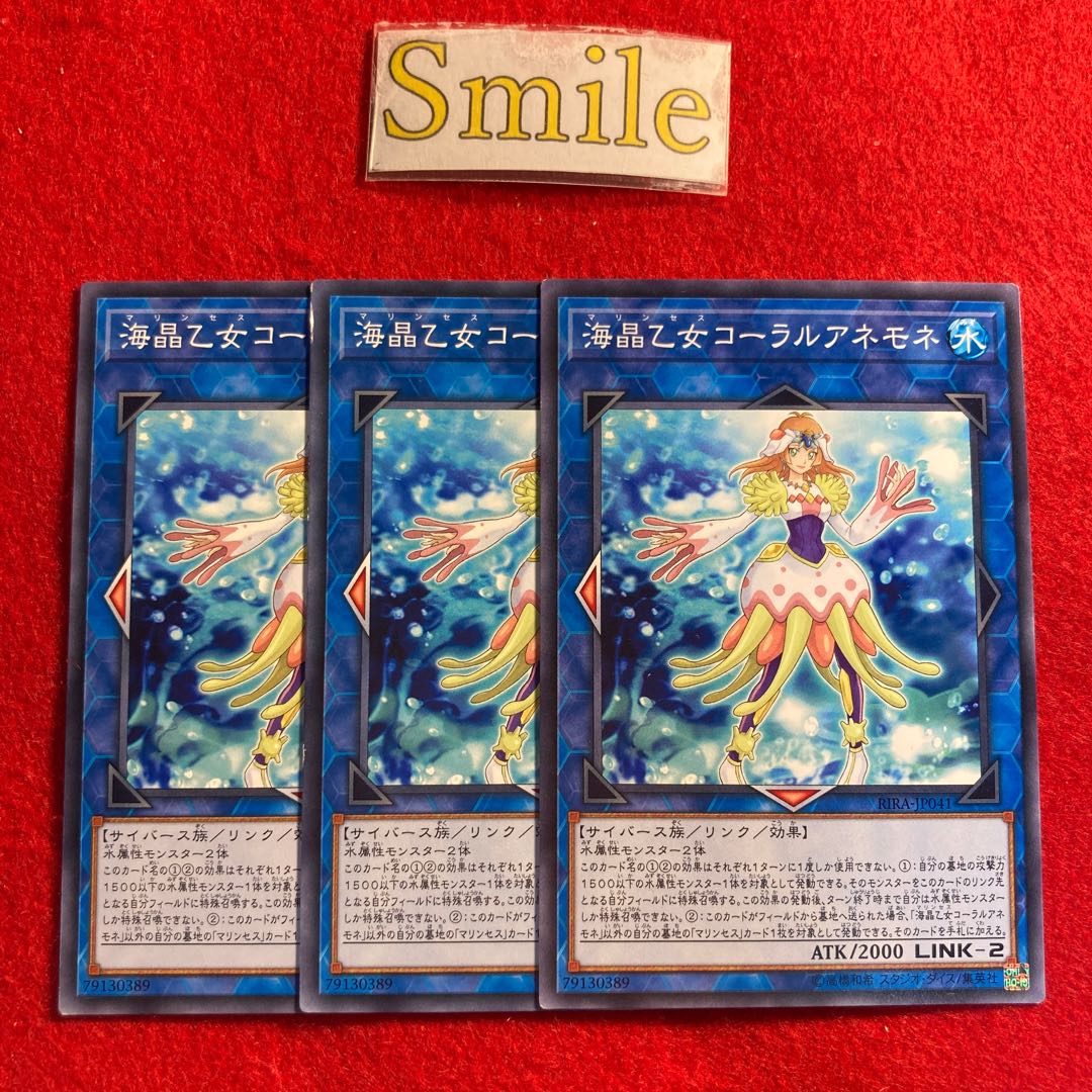 海晶乙女コーラルアネモネ#2839