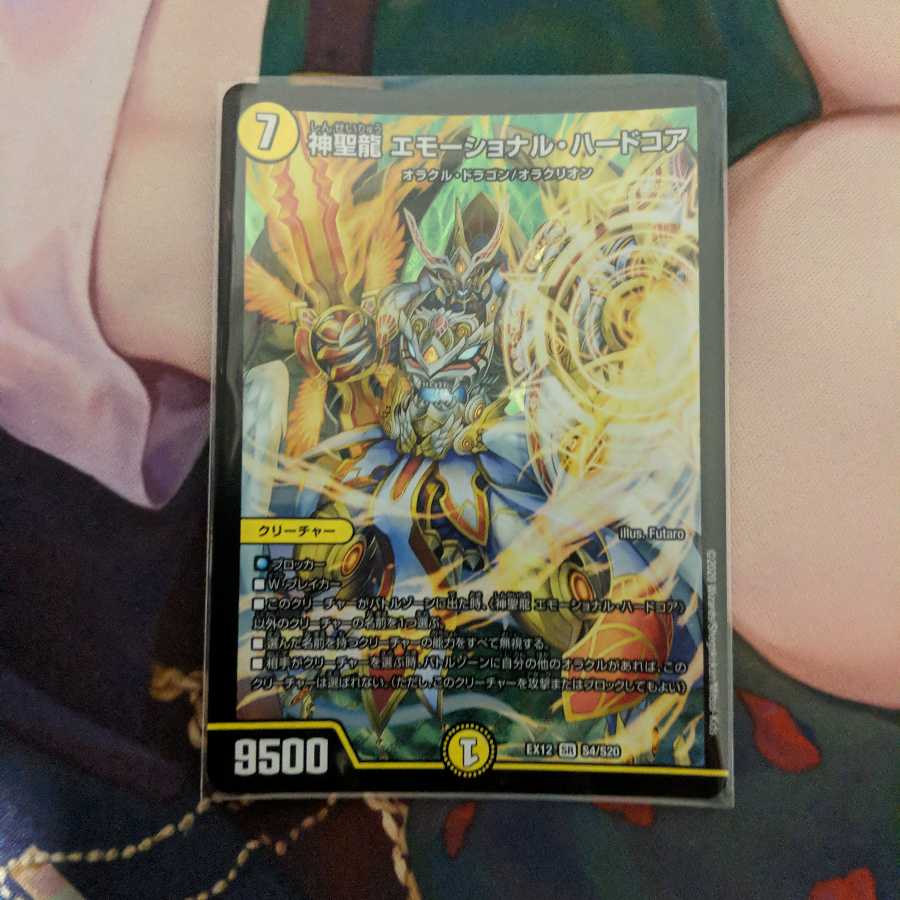 神聖龍 エモーショナル・ハードコア