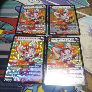 モモスターキャンベロ 4枚