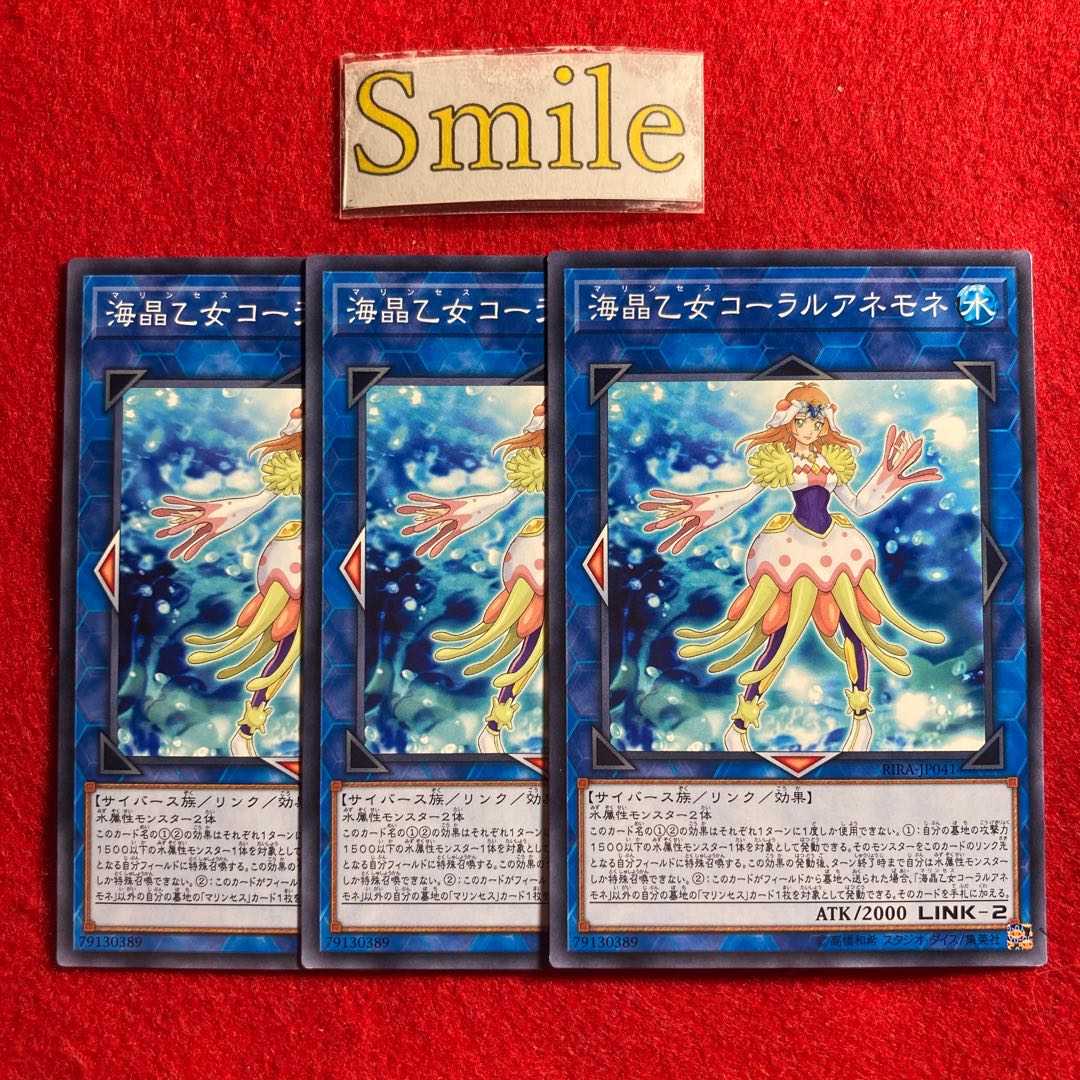 海晶乙女コーラルアネモネ#2842