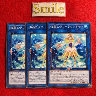 海晶乙女コーラルアネモネ#2860