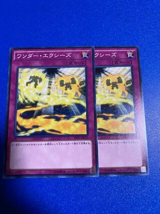 ワンダー・エクシーズ