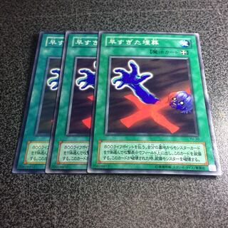 早すぎた埋葬【N】