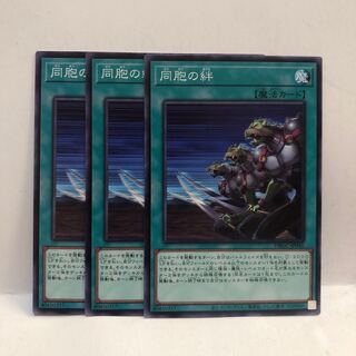 同胞の絆　ノーマル　3枚　マホ子