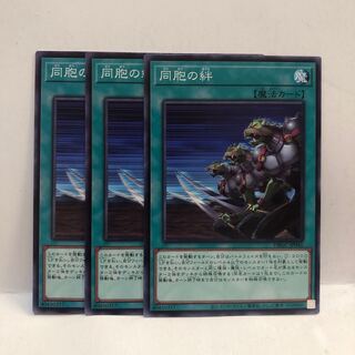 同胞の絆　ノーマル　3枚　マホ子