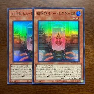 2枚セット　被検体ミュートリアMー05