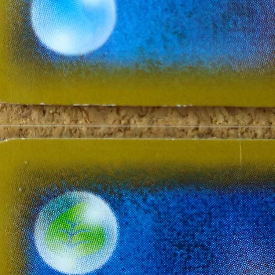 格闘道場/くろおび6枚 【1071】