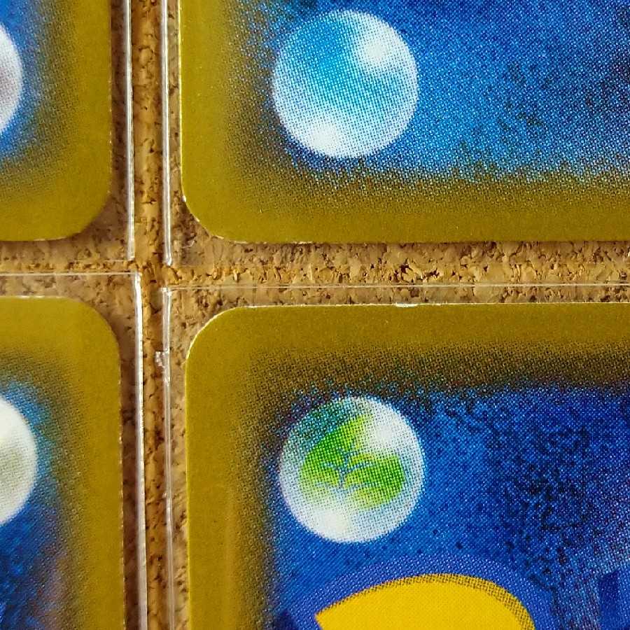 格闘道場/くろおび6枚 【1071】