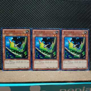 Popotan] Yu-Gi-Oh! 3370 Larvae Moth 3 Normal