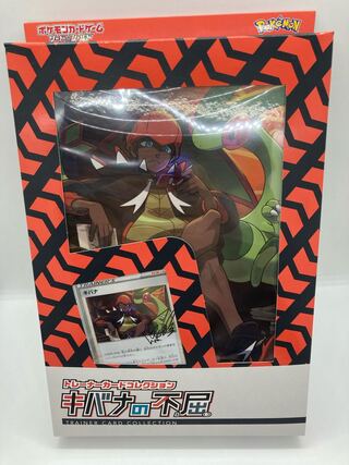 【未開封品】キバナの不屈