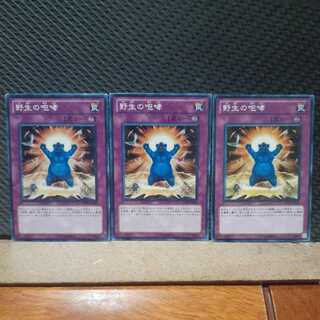 Popotan] Yu-Gi-Oh! 6441 Howl of the Wild 3 Normal