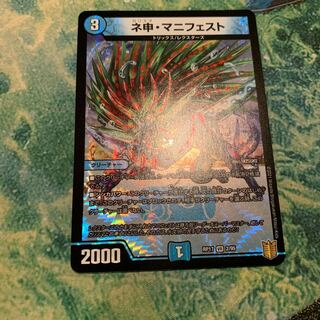 ネ申・マニフェスト