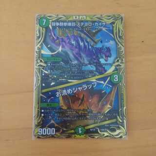 闘争類拳嘩目 ステゴロ・カイザー｜お清めシャラップ