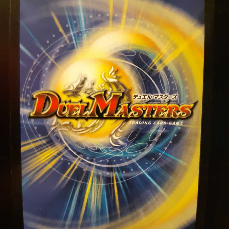 フランス アルカディアス