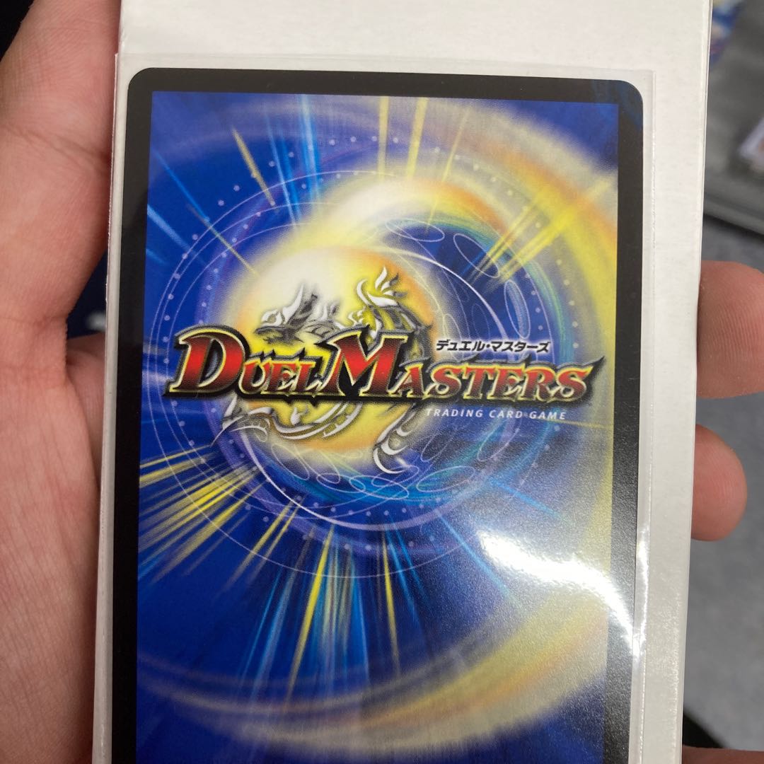 ３日に一回価格変更　　　雷龍 ヴァリヴァリウス