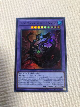 シンセシス・ミュートリアス