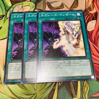 エクシーズ・インポート ノーマル　3枚特価品