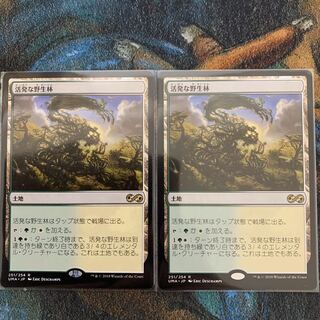 MTG Stirring Wildwood Japanese 2 copies 2枚