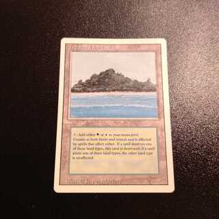 英語 3ED Tropical Island