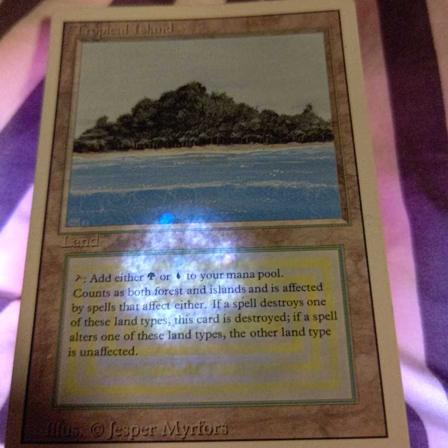 英語 3ED Tropical Island