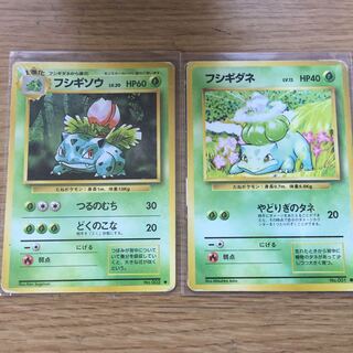 旧裏面 フシギダネ フシギソウ セット