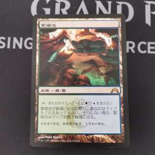 【GTC】繁殖池　日