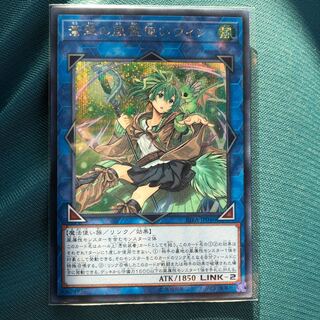 蒼翠の風霊使いウィン