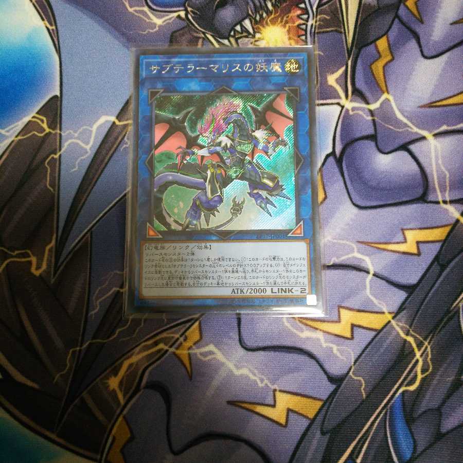 サブテラーマリスの妖魔 シークレット シク