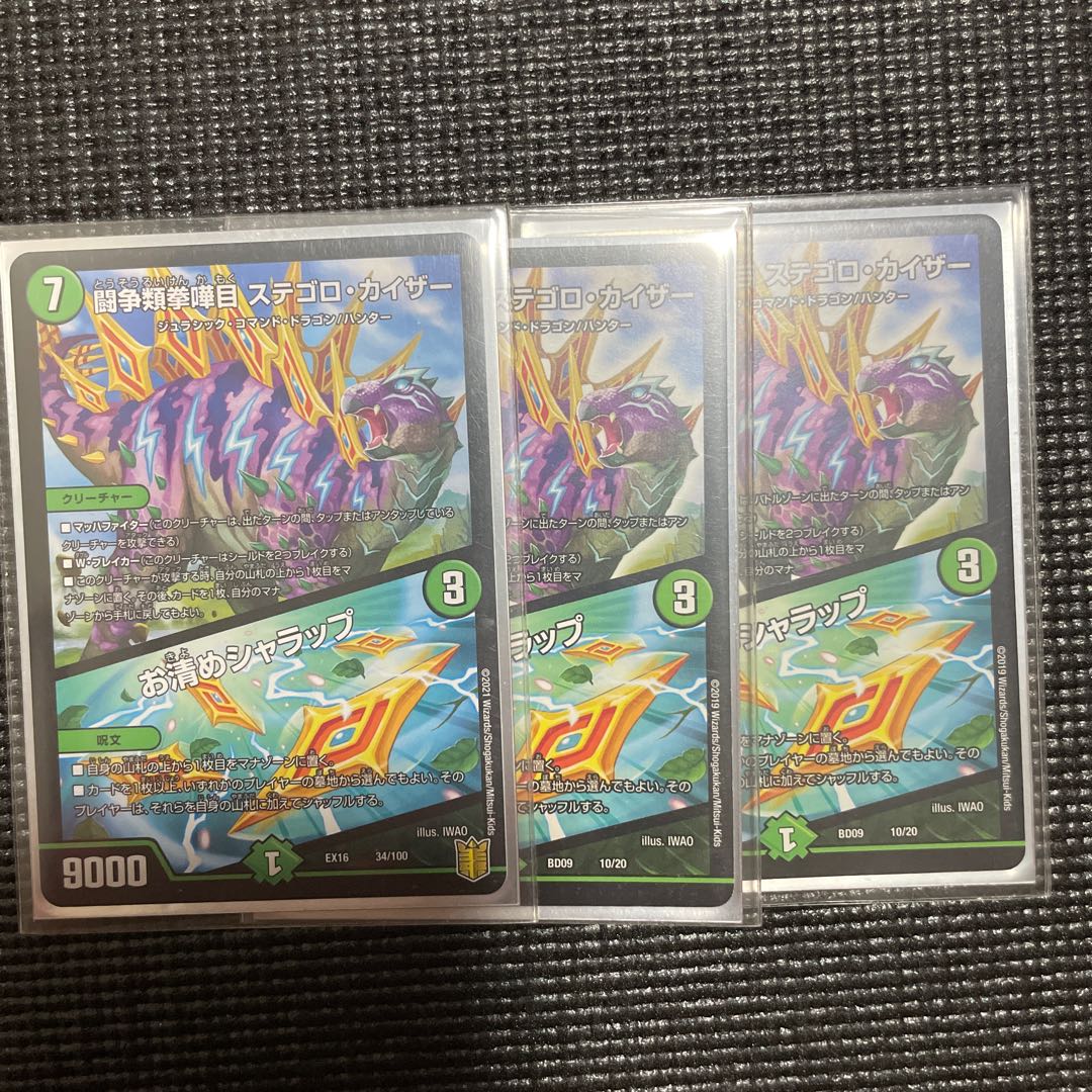 闘争類拳嘩目 ステゴロ・カイザー｜お清めシャラップ