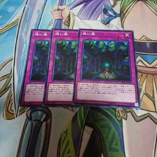 迷い風 3枚セット