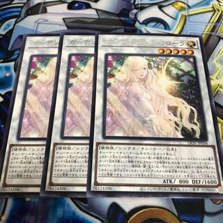 ガーデン・ローズ・フローラ レア　Hulu 1391